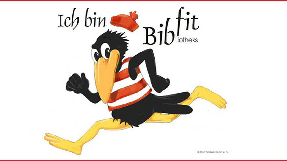 Bibfit 1